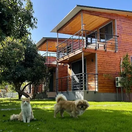Hébergement de vacances Avohomes