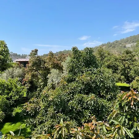 Hébergement de vacances Avohomes Fethiye